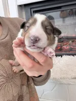 processed/3a524e41-d92b-448e-b297-986a9f70feeb/listing/aa12732c-6a91-487b-8876-9b532f6c8898/dcc78f13-9c8d-4177-82c9-7fece91d6fd4