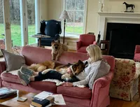 *arrived!* AKC LITTER!, a male Collie for sale in Dryden, VA – Photo 6 of 7