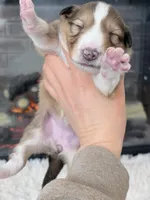 processed/3a524e41-d92b-448e-b297-986a9f70feeb/listing/bfe4d504-a5cf-4ed5-be64-732437020dd9/0f677d6e-821b-4101-b6b6-bc814617c370