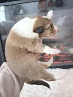 processed/3a524e41-d92b-448e-b297-986a9f70feeb/listing/bfe4d504-a5cf-4ed5-be64-732437020dd9/6b8d99b2-85d9-4543-b0b9-265a6440ecb2