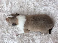 processed/3a524e41-d92b-448e-b297-986a9f70feeb/listing/bfe4d504-a5cf-4ed5-be64-732437020dd9/7ba60271-227e-4376-814c-21ba82eea812