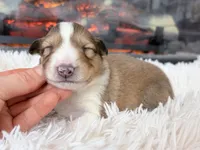 processed/3a524e41-d92b-448e-b297-986a9f70feeb/listing/bfe4d504-a5cf-4ed5-be64-732437020dd9/845c1124-7d95-4bff-89dc-cec948c1c169