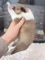 processed/3a524e41-d92b-448e-b297-986a9f70feeb/listing/bfe4d504-a5cf-4ed5-be64-732437020dd9/b1a49ca6-5f68-4299-a2d7-5e44515e65da