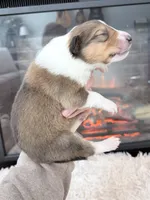 processed/3a524e41-d92b-448e-b297-986a9f70feeb/listing/c66aea88-40c4-4b78-bded-42e4a427b70a/424fcfd1-a810-49d8-8916-7758f7cc1e89