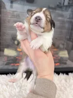 processed/3a524e41-d92b-448e-b297-986a9f70feeb/listing/c66aea88-40c4-4b78-bded-42e4a427b70a/4cd818bb-45d3-41e8-b3b8-e827b6159bf7