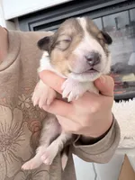 processed/3a524e41-d92b-448e-b297-986a9f70feeb/listing/c66aea88-40c4-4b78-bded-42e4a427b70a/74b5157c-eac4-49e5-aa1d-599eeb3f2c9c