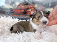 processed/3a524e41-d92b-448e-b297-986a9f70feeb/listing/c66aea88-40c4-4b78-bded-42e4a427b70a/75a27992-3cca-4813-99d3-3733fe27f071