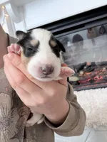 processed/3a524e41-d92b-448e-b297-986a9f70feeb/listing/d1adc900-59ff-43a0-8ae9-6de6918641eb/9a94bb2f-de7e-43ff-9228-0748c3cdc2b6