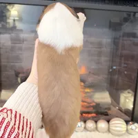 Lassie - PENDING, a female Collie for sale in Dryden, VA – Photo 4 of 6