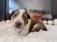 processed/3a524e41-d92b-448e-b297-986a9f70feeb/listing/f12371a8-006b-4b1b-8a42-44fe33ceabf7/435102ed-7878-44cd-8f53-94a03fef0b72