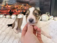 processed/3a524e41-d92b-448e-b297-986a9f70feeb/listing/f12371a8-006b-4b1b-8a42-44fe33ceabf7/70d5b7ad-2958-4c21-847a-7a3da68b7c18