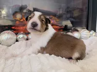 processed/3a524e41-d92b-448e-b297-986a9f70feeb/listing/f12371a8-006b-4b1b-8a42-44fe33ceabf7/7aa36ef2-e641-4b2c-8bb6-7a7559aff074