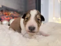 processed/3a524e41-d92b-448e-b297-986a9f70feeb/listing/f12371a8-006b-4b1b-8a42-44fe33ceabf7/b2c4c089-85da-45c1-ac3e-0a5f5605a2d8