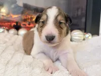 processed/3a524e41-d92b-448e-b297-986a9f70feeb/listing/f12371a8-006b-4b1b-8a42-44fe33ceabf7/b6fdeff7-c682-47f9-b9a5-0ec3339797e4