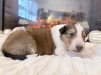 processed/3a524e41-d92b-448e-b297-986a9f70feeb/listing/f12371a8-006b-4b1b-8a42-44fe33ceabf7/c7bd1136-adc5-403b-846b-bbb42829ef17