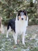 processed/3a524e41-d92b-448e-b297-986a9f70feeb/listing/f5af1fa7-864d-41e5-aa0c-57d1bbbf8081/0dda0c1f-9578-4879-bac9-4efc034b0c2e