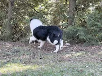 processed/3a524e41-d92b-448e-b297-986a9f70feeb/listing/f5af1fa7-864d-41e5-aa0c-57d1bbbf8081/1c9964f8-1fd4-44b1-a6e3-9b18333d83d6