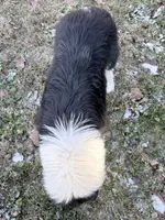 processed/3a524e41-d92b-448e-b297-986a9f70feeb/listing/f5af1fa7-864d-41e5-aa0c-57d1bbbf8081/4370cfa7-edcb-4afd-bbd3-0a185c670312