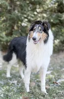 processed/3a524e41-d92b-448e-b297-986a9f70feeb/listing/f5af1fa7-864d-41e5-aa0c-57d1bbbf8081/52bf6123-1808-4f3f-9c26-8d4c3afb8fd1