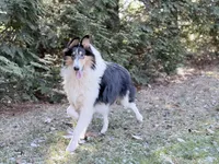 processed/3a524e41-d92b-448e-b297-986a9f70feeb/listing/f5af1fa7-864d-41e5-aa0c-57d1bbbf8081/71f6bc20-9a3d-4aca-bd43-5aee49d19700