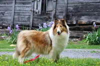 processed/3a524e41-d92b-448e-b297-986a9f70feeb/listing/f5af1fa7-864d-41e5-aa0c-57d1bbbf8081/78d98b2a-fcfc-4442-b4ac-d5cc532065ad