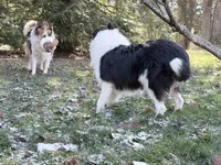 processed/3a524e41-d92b-448e-b297-986a9f70feeb/listing/f5af1fa7-864d-41e5-aa0c-57d1bbbf8081/c4dcb937-623b-45d2-a380-7fe0f21b956a