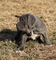 processed/3a547658-8c22-4fc1-b061-20c087129bec/listing/5fda68a9-4ef2-49c5-835e-d28a906195f6/1e2b51f3-34cc-4dc5-8780-5c70a242e75a