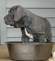 processed/3a547658-8c22-4fc1-b061-20c087129bec/listing/5fda68a9-4ef2-49c5-835e-d28a906195f6/b9aa625d-830c-4dad-8e68-afc51b15d144