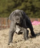 processed/3a547658-8c22-4fc1-b061-20c087129bec/listing/5fda68a9-4ef2-49c5-835e-d28a906195f6/be57661c-f25f-469a-8322-68ee8b0226b9