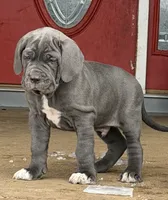 processed/3a547658-8c22-4fc1-b061-20c087129bec/listing/5fda68a9-4ef2-49c5-835e-d28a906195f6/cc3d3a89-dd15-4a95-87f7-c829a1a1e4ba