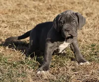 processed/3a547658-8c22-4fc1-b061-20c087129bec/listing/5fda68a9-4ef2-49c5-835e-d28a906195f6/dae55681-e9e8-482d-92de-c6df4c377c6b