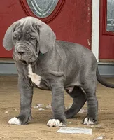 processed/3a547658-8c22-4fc1-b061-20c087129bec/listing/5fda68a9-4ef2-49c5-835e-d28a906195f6/db6f512e-a4e3-4be3-87a0-02e15dcacc36