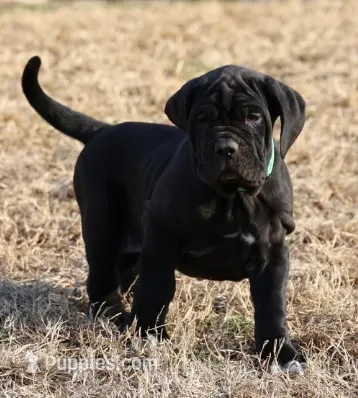 processed/3a547658-8c22-4fc1-b061-20c087129bec/listing/836ed66c-02f4-4980-a7e1-b55559e038c2/077d37e2-e712-4851-8412-6e5f69b4621a