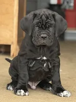 processed/3a547658-8c22-4fc1-b061-20c087129bec/listing/836ed66c-02f4-4980-a7e1-b55559e038c2/8800b5b0-5889-4334-a398-9e261bbf177d