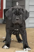 processed/3a547658-8c22-4fc1-b061-20c087129bec/listing/836ed66c-02f4-4980-a7e1-b55559e038c2/bd2b62cc-47a6-4d2e-ad33-1b40c76cc131