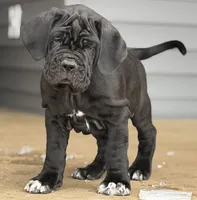 processed/3a547658-8c22-4fc1-b061-20c087129bec/listing/836ed66c-02f4-4980-a7e1-b55559e038c2/d641495f-1ef7-4549-94c4-4de3172cfd03