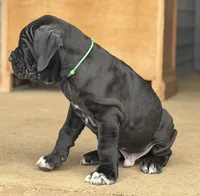 processed/3a547658-8c22-4fc1-b061-20c087129bec/listing/836ed66c-02f4-4980-a7e1-b55559e038c2/e2326643-640a-4ce7-a24c-135de746bac0