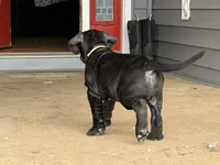 processed/3a547658-8c22-4fc1-b061-20c087129bec/listing/b0254ffb-4dee-40d5-b04e-8c9af2dbdb69/0bfec1d1-8a98-4f3f-9538-3f08a645a4af