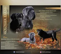 processed/3a547658-8c22-4fc1-b061-20c087129bec/listing/b0254ffb-4dee-40d5-b04e-8c9af2dbdb69/19c652c7-6a08-4d02-a332-e29ffab1c14b