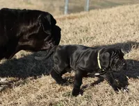 processed/3a547658-8c22-4fc1-b061-20c087129bec/listing/b0254ffb-4dee-40d5-b04e-8c9af2dbdb69/332e208c-6ffe-412a-8004-3b681b19983b