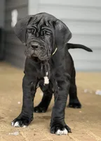 processed/3a547658-8c22-4fc1-b061-20c087129bec/listing/b0254ffb-4dee-40d5-b04e-8c9af2dbdb69/3c73a993-450d-4998-a370-a1d5a5cd45df