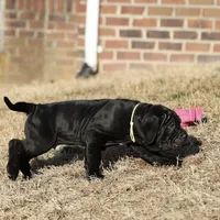 processed/3a547658-8c22-4fc1-b061-20c087129bec/listing/b0254ffb-4dee-40d5-b04e-8c9af2dbdb69/4e9e8098-0e47-4fed-ba5b-2ef1f88805f8