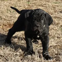 processed/3a547658-8c22-4fc1-b061-20c087129bec/listing/b0254ffb-4dee-40d5-b04e-8c9af2dbdb69/9b1aa826-bac0-4341-8445-f4250a1c41f6