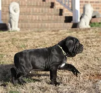 processed/3a547658-8c22-4fc1-b061-20c087129bec/listing/b0254ffb-4dee-40d5-b04e-8c9af2dbdb69/a2ee42f9-2fd4-422a-8f82-d447c542202c