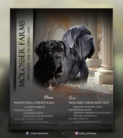 processed/3a547658-8c22-4fc1-b061-20c087129bec/listing/b8634650-44e7-490e-9fc1-5cc7479a01b2/5f715644-f70a-4b08-a5ef-1c73c8b67864