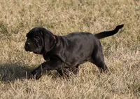 processed/3a547658-8c22-4fc1-b061-20c087129bec/listing/b8634650-44e7-490e-9fc1-5cc7479a01b2/8ecfd1e9-997f-46a9-97c1-54383027d462