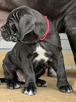 processed/3a547658-8c22-4fc1-b061-20c087129bec/listing/b8634650-44e7-490e-9fc1-5cc7479a01b2/bc1ba4b8-523b-4db2-919f-09b6a9f499b7