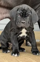 processed/3a547658-8c22-4fc1-b061-20c087129bec/listing/b8634650-44e7-490e-9fc1-5cc7479a01b2/f080f36d-5b52-4b5b-a601-f00ae5ac2c52