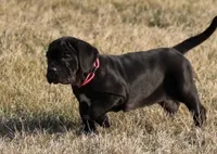 processed/3a547658-8c22-4fc1-b061-20c087129bec/listing/b8634650-44e7-490e-9fc1-5cc7479a01b2/f38e5a79-605e-46c9-ab23-1e0b6a79b67b