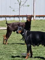 processed/3a68d3fc-3c02-450b-95be-a32c54bea232/facility/696b6ab2-db37-467b-95a1-2ce90ab1c82a